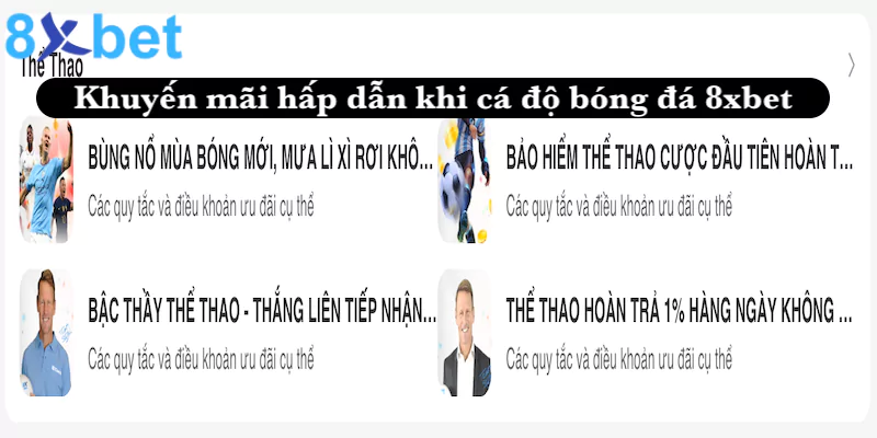Cá độ bóng đá 8xbet - Sảnh cược thể thao hàng đầu châu Á 5 Khuyến mãi hấp dẫn khi tham gia cá cược bóng đá 8xbet